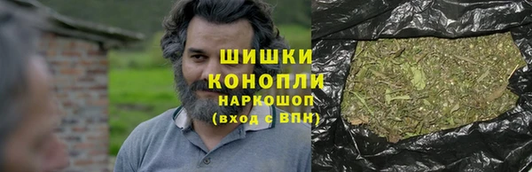 метадон Ельня