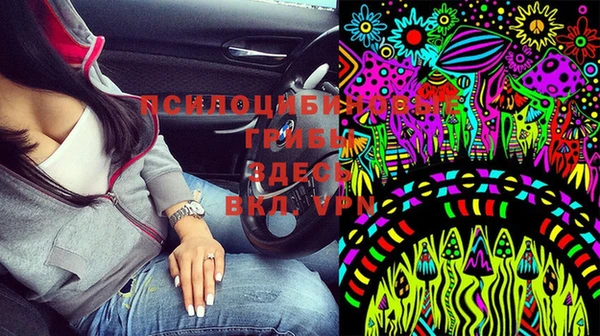 2c-b Елизово