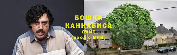 метадон Ельня