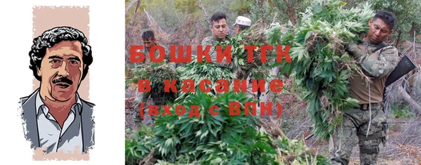 винт Осташков