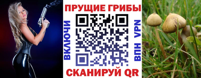 Псилоцибиновые грибы Magic Shrooms  Полесск 